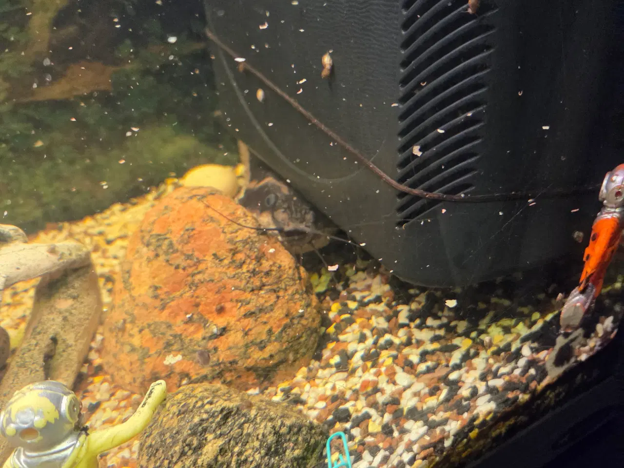 Billede 4 - Akvarie Stort
