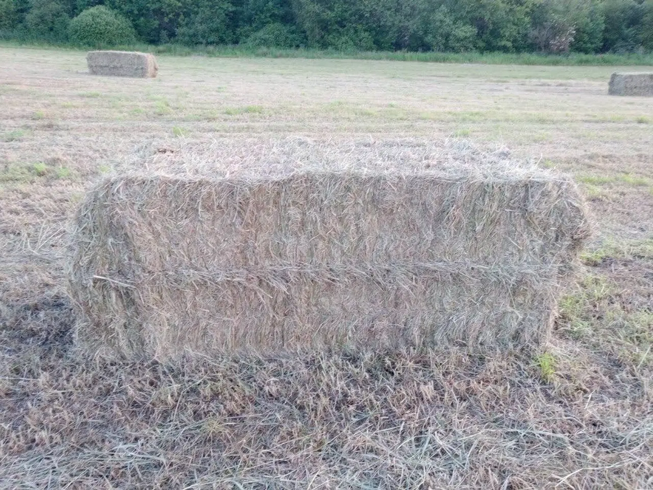 Billede 1 - Heste hø 