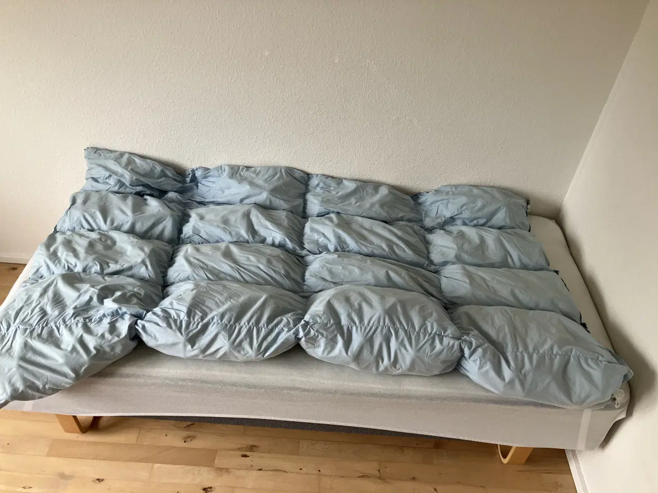 Billede 1 - Protac Kugledyne Classic