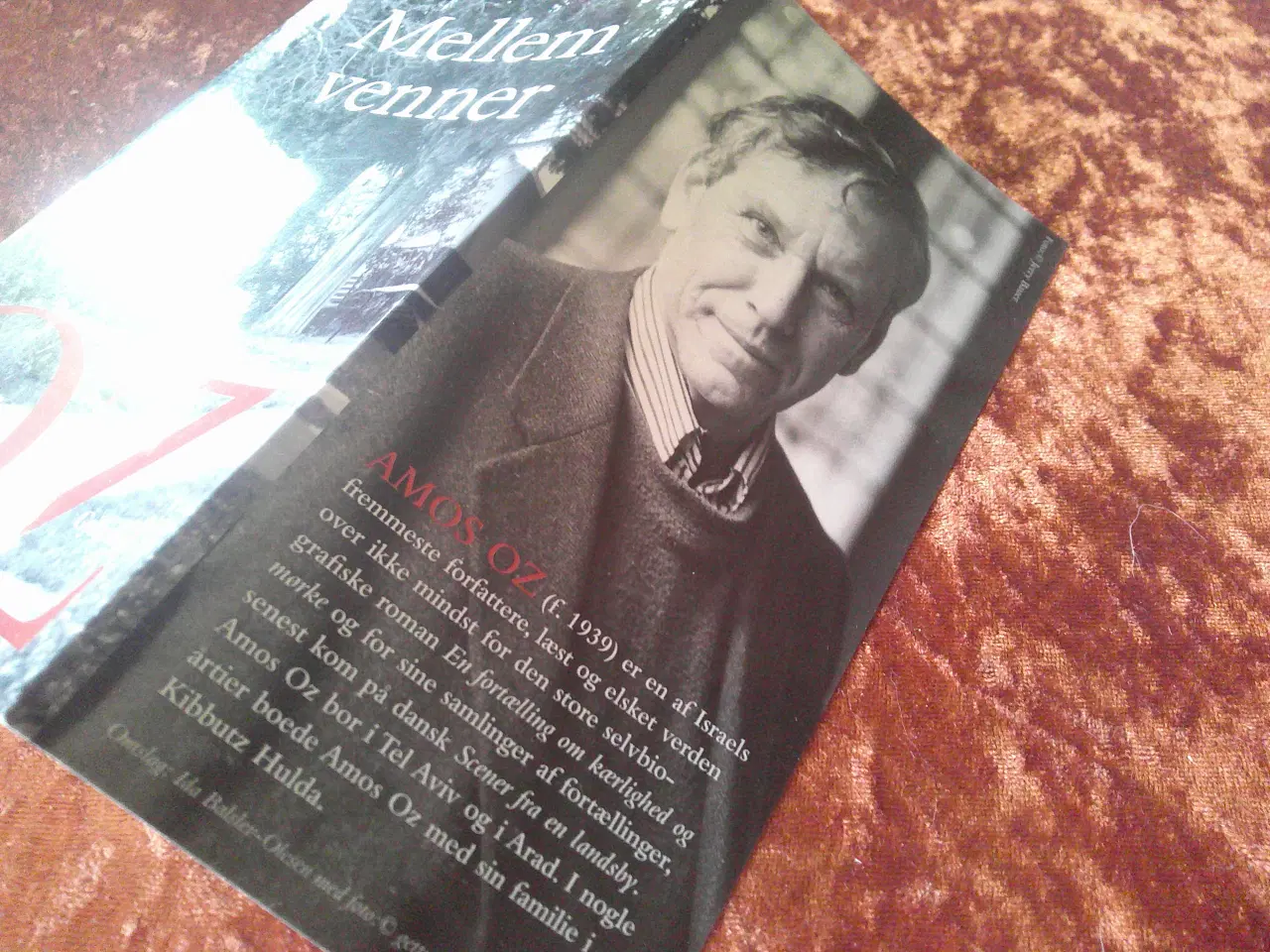 Billede 3 - Mellem venner, Amos Oz,