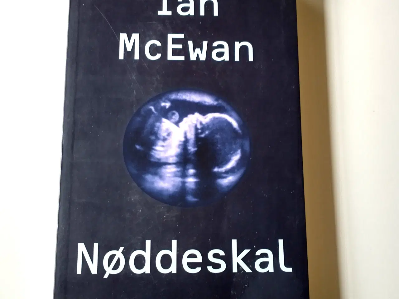 Billede 1 - Nøddeskal. Af Ian McEwan