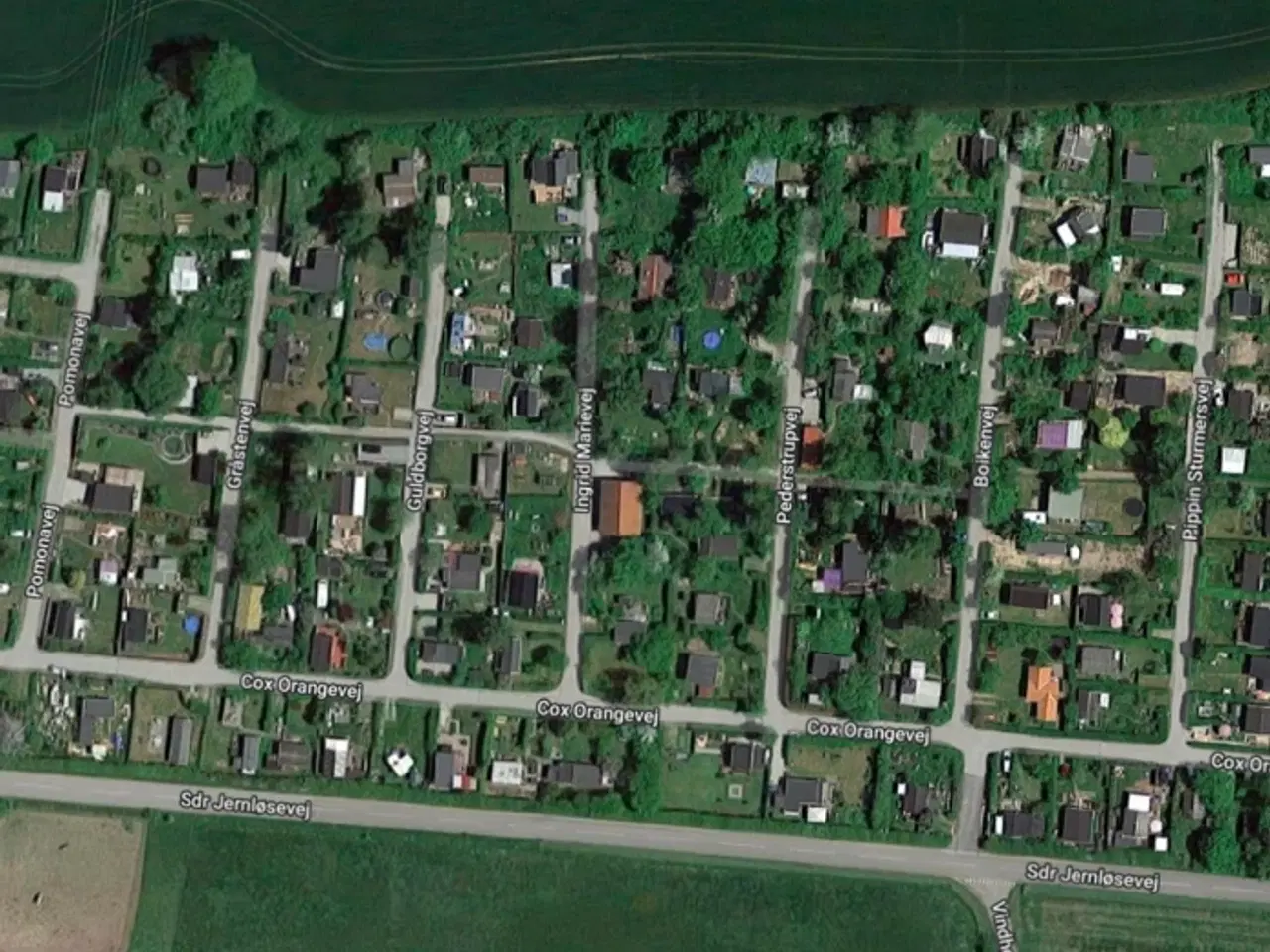 Billede 13 - Kolonihave Holbæk 