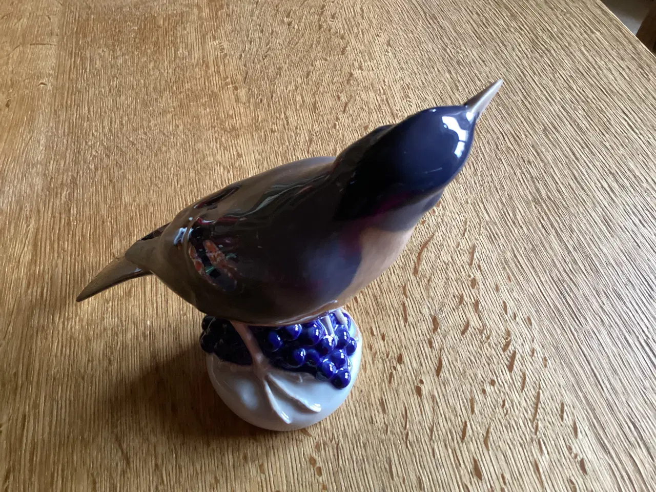 Billede 4 - Kgl Drossel Fugl siddende på blå Bær