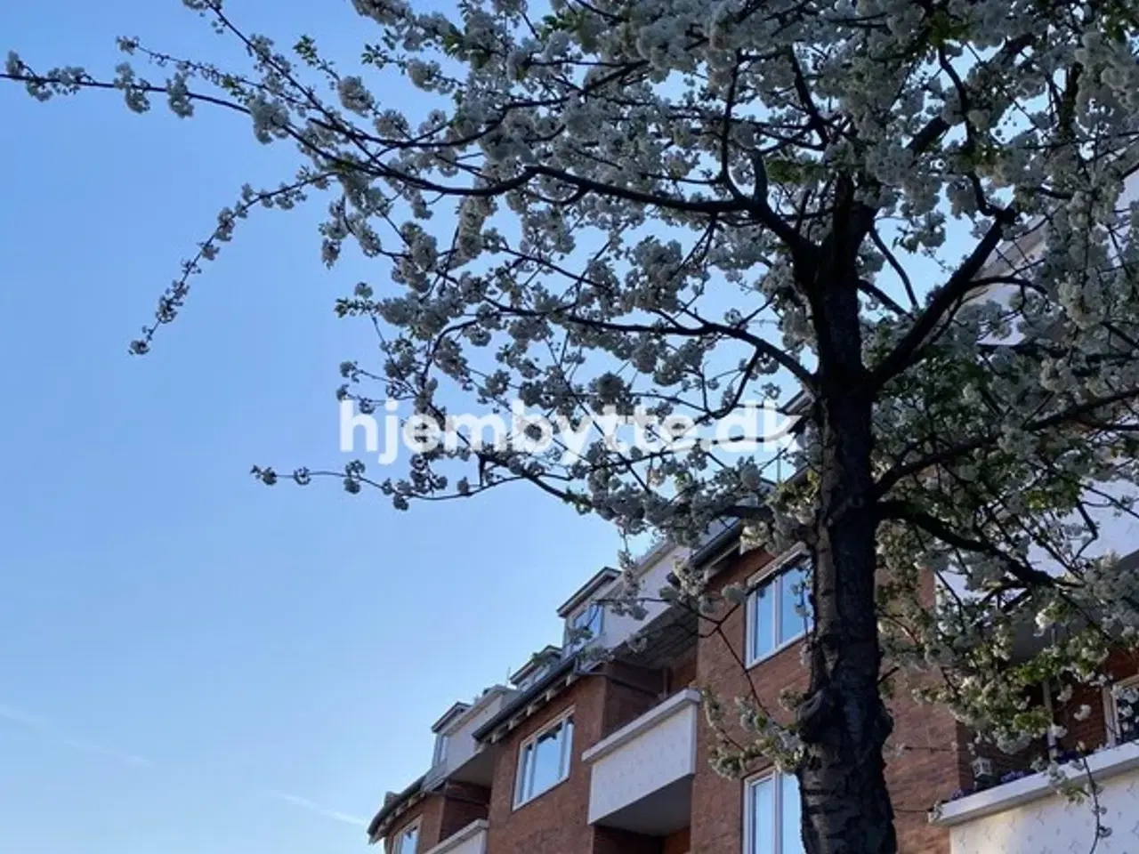 Billede 1 - Hjembytte - DronninggårdsAlle