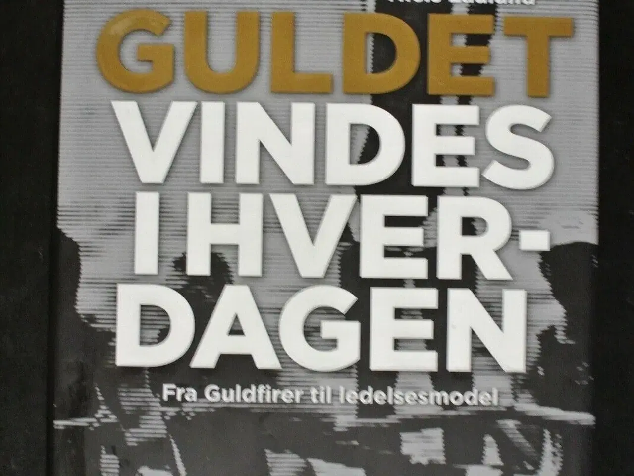Billede 1 - guldet vindes i hverdagen - fra guldfirer til lede