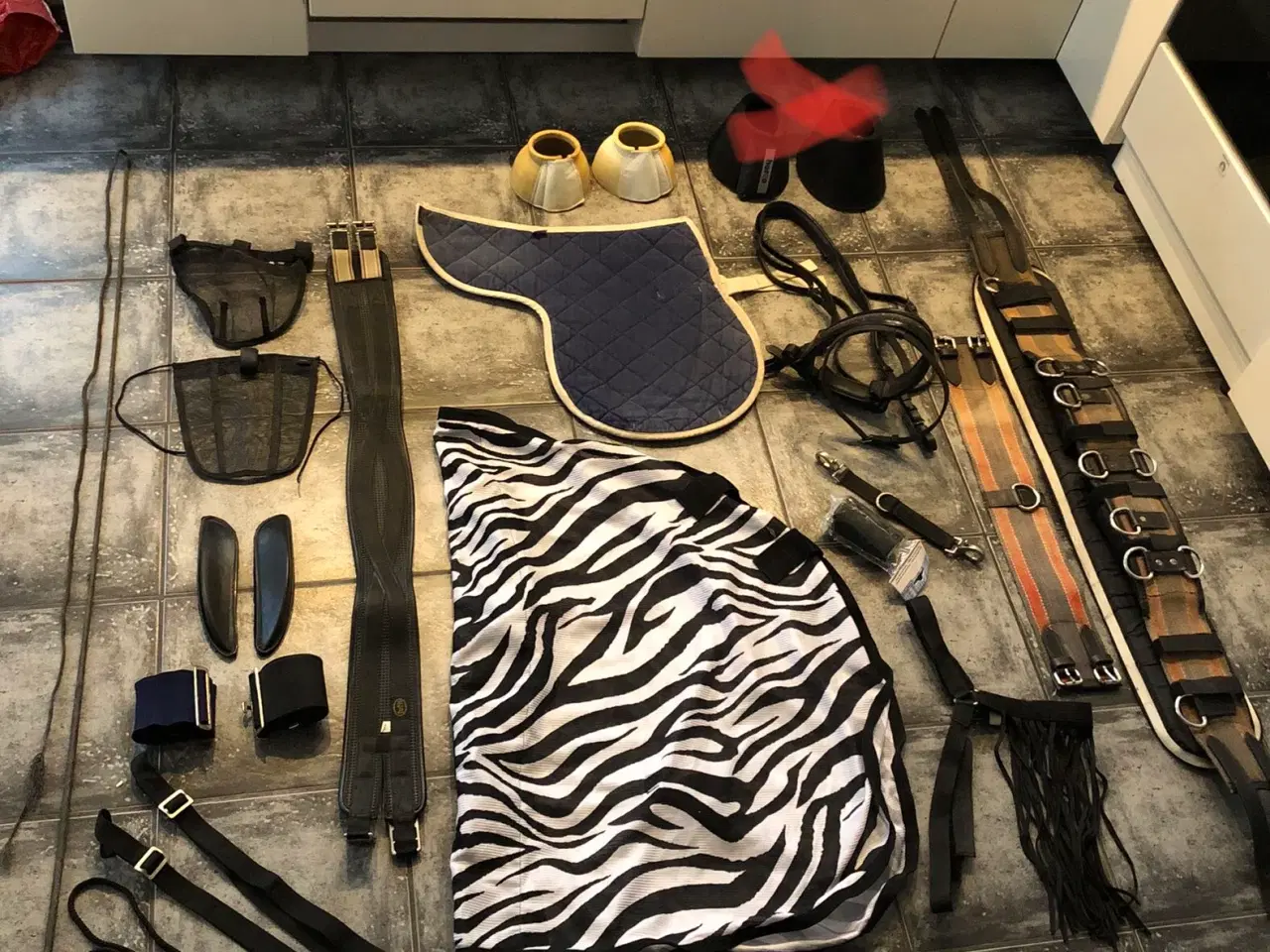 Billede 1 - rideudstyrs pakke med bla trense og longegjord