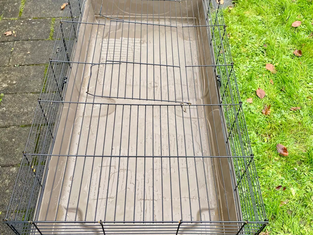 Billede 1 - Gnavebur Baldo