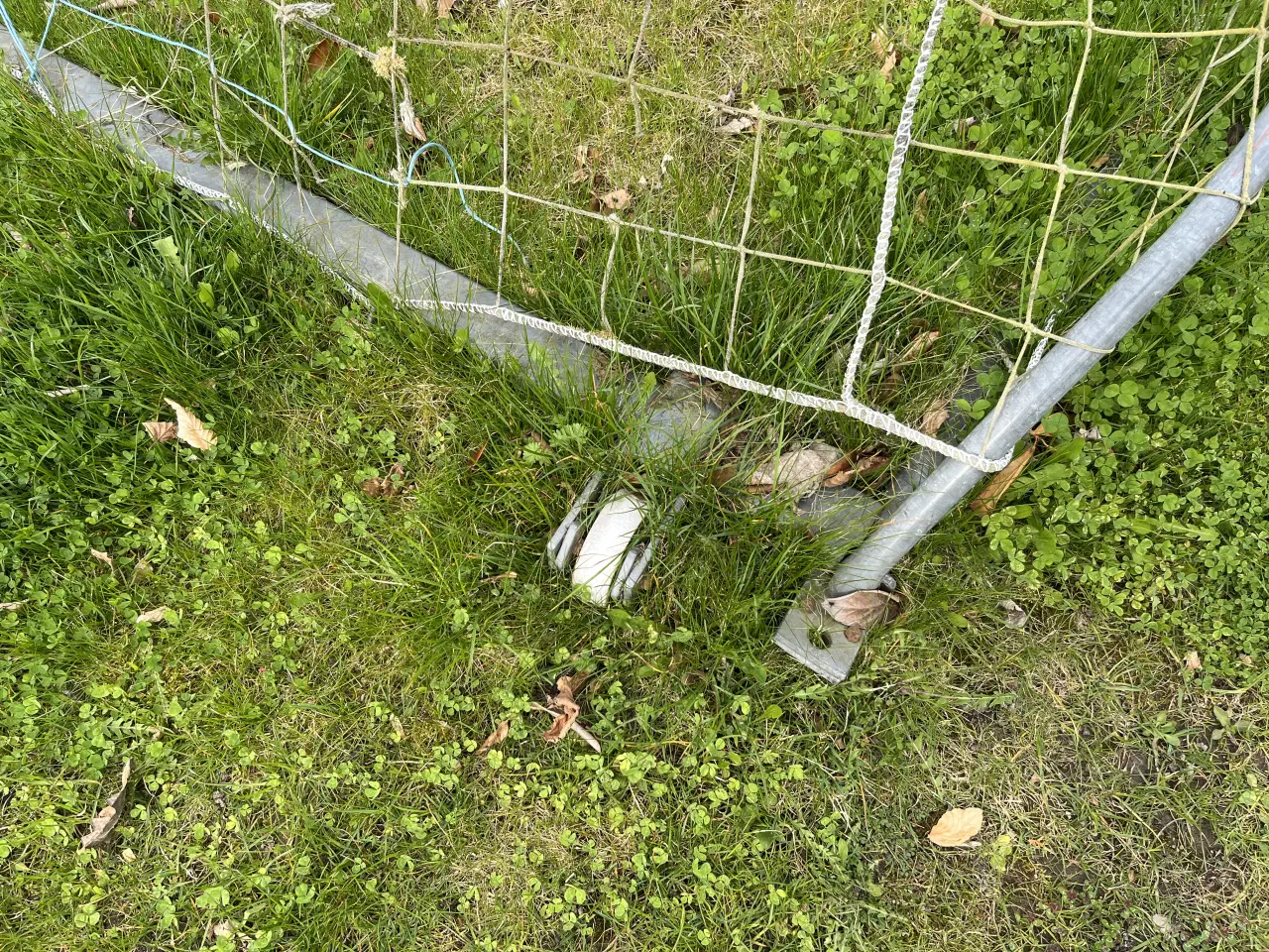 Billede 4 - Fodboldmål prof 2 stk