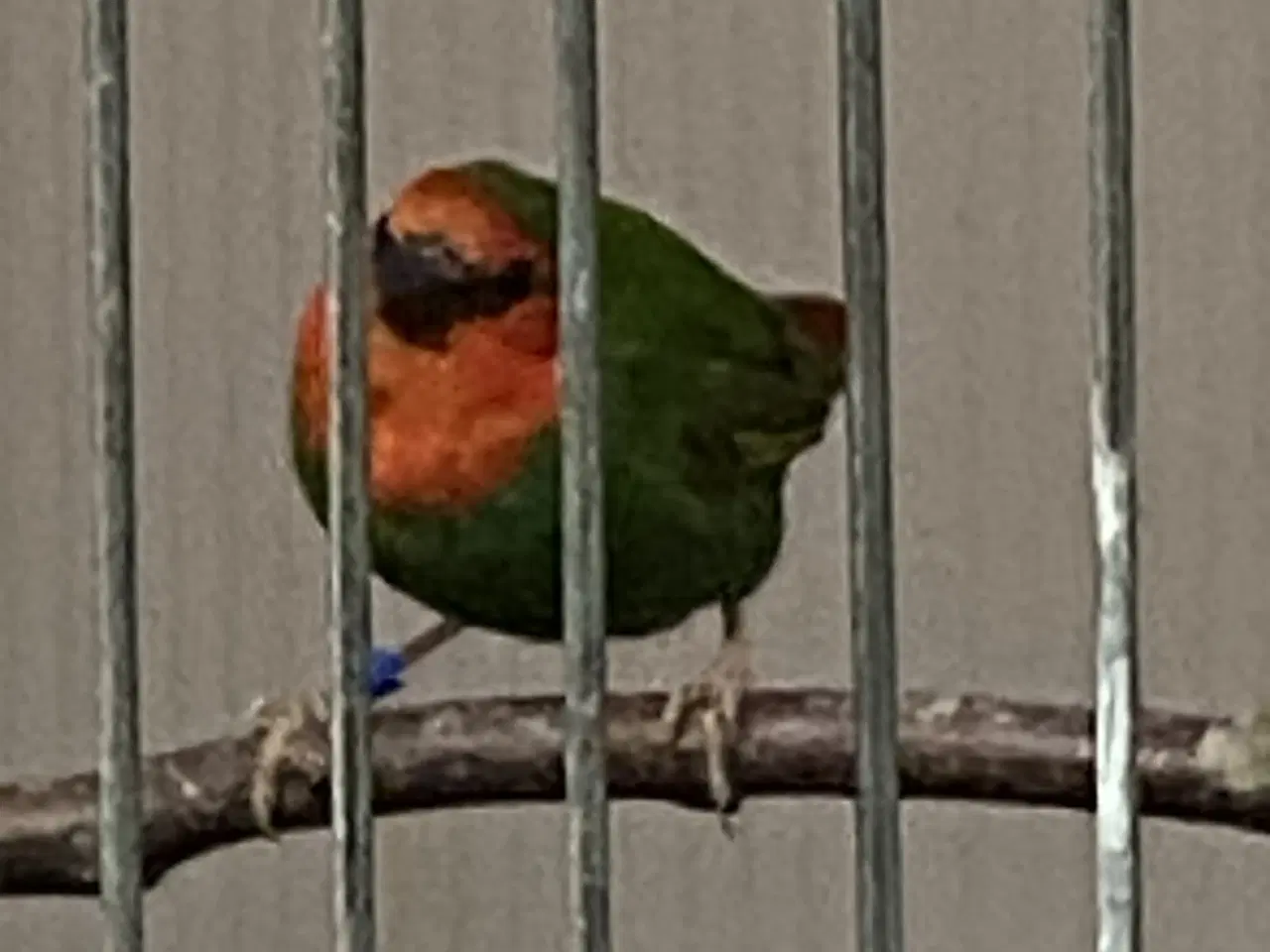 Billede 4 - Div finker