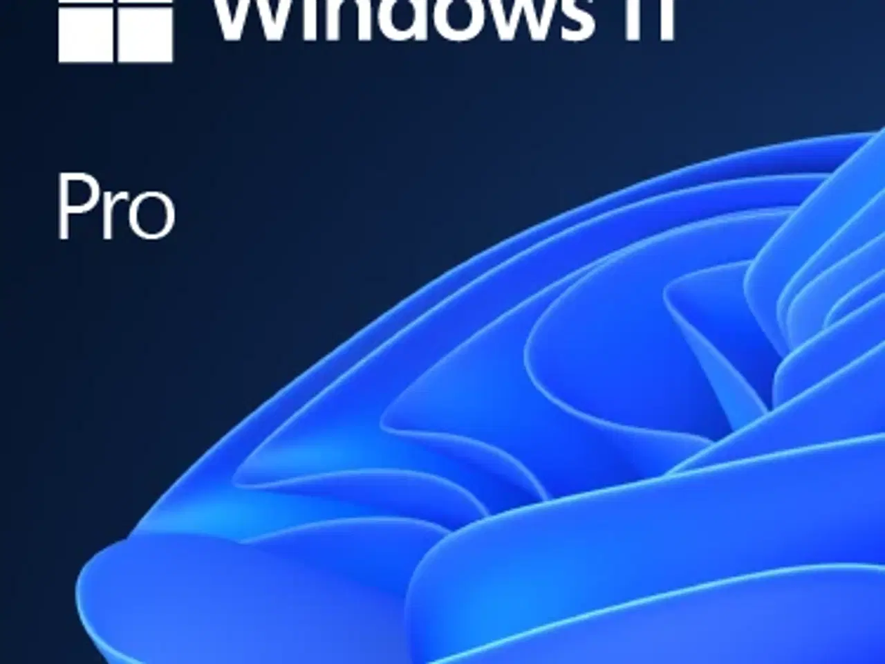 Billede 1 - Windows 11 pro