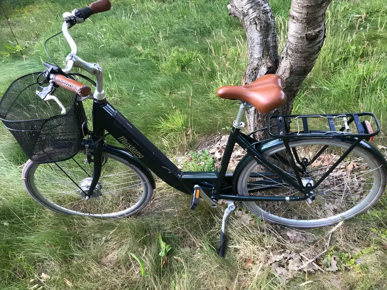 Billede 5 - Søger Gør det selv E-Bikes Nyere E MTB Dame BILLIG