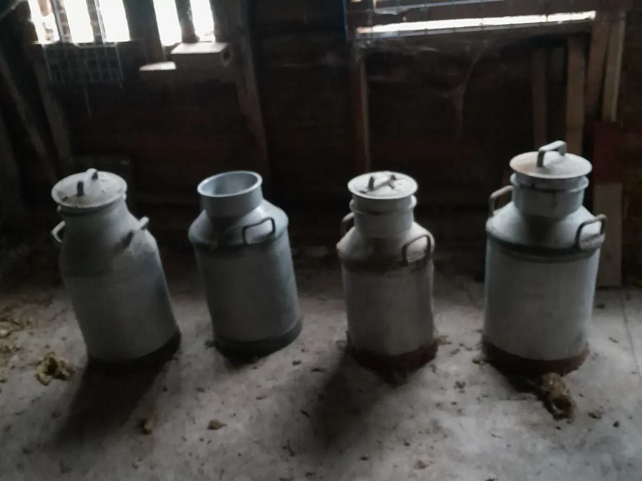 Billede 1 - Mælkejunge/mælkespand.