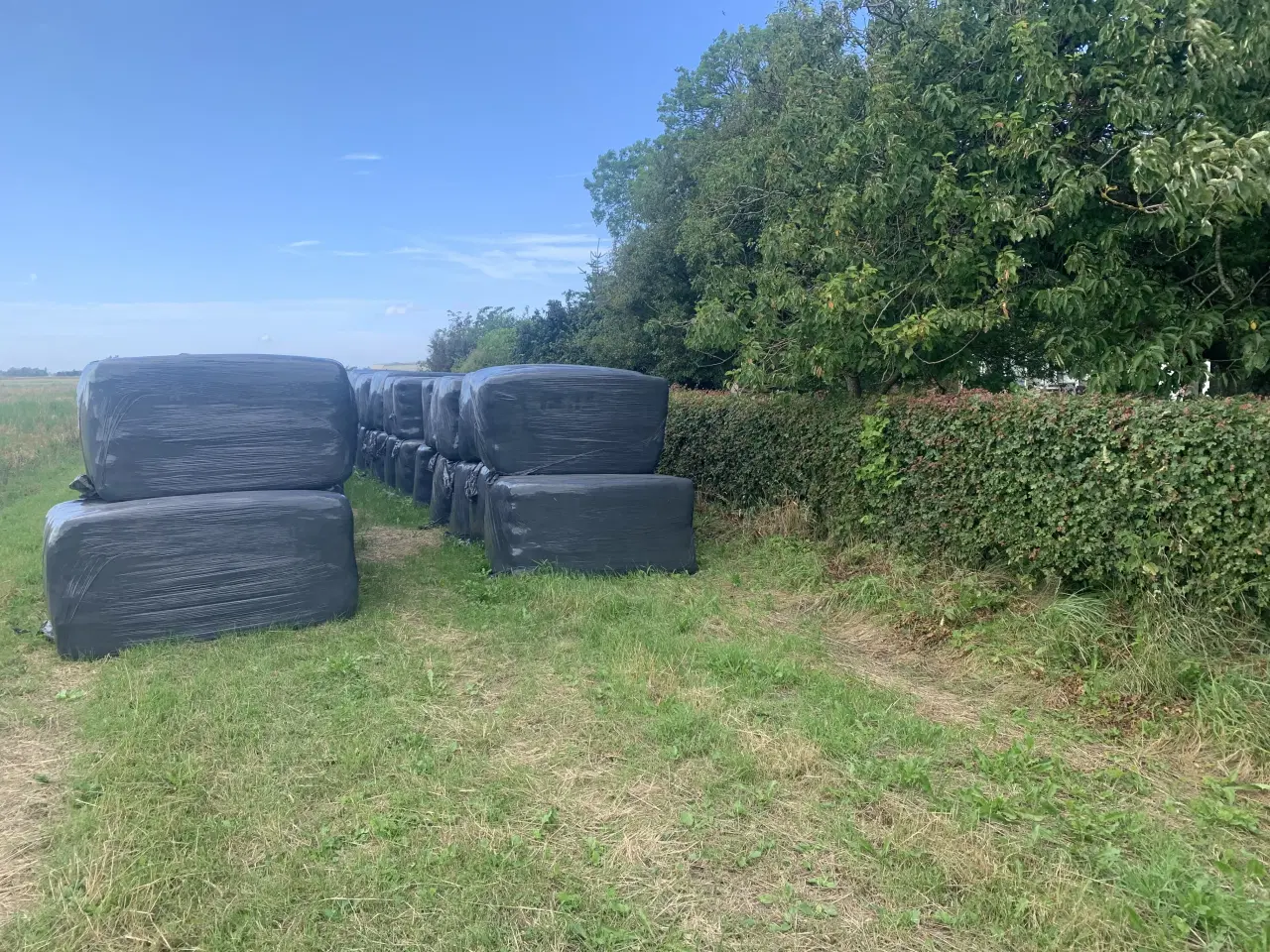 Billede 1 - Wrap Hø