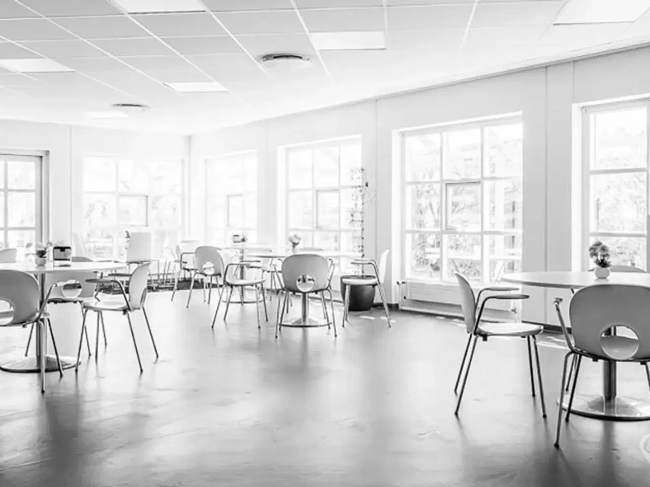 Billede 8 - Kontorer til leje i Hvidovre med masser af plads