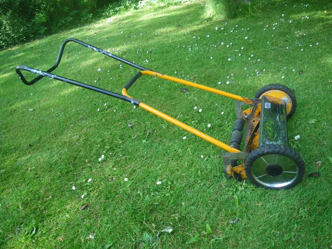 Billede 3 - Cylinderklipper
