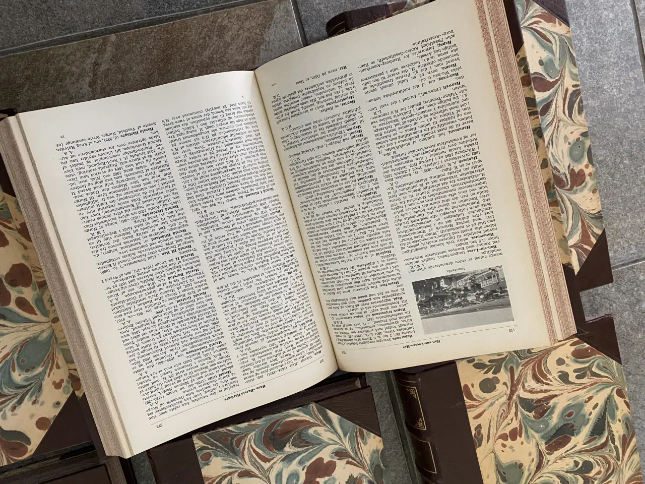 Billede 6 - Raunkjærs Konversations leksikon