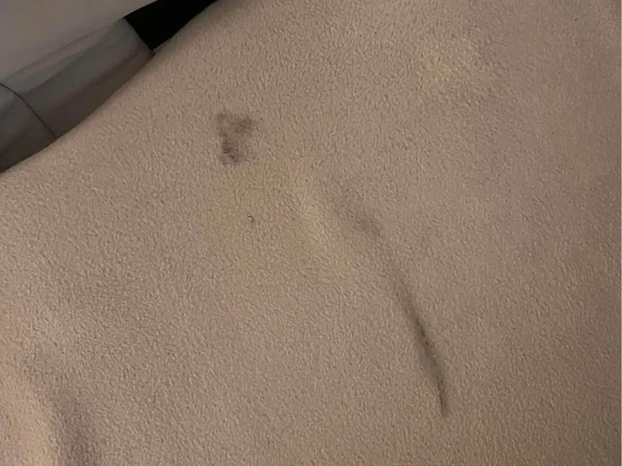 Billede 7 - Bugaboo Donkey Duo 5 (søskendevogn)👶🏼