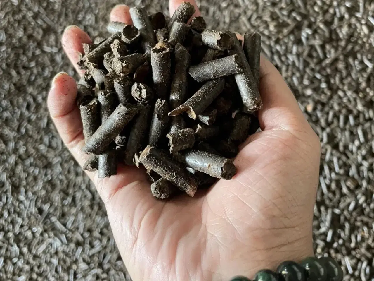 Billede 1 - solsikkeskalpellets hestestrøelse dyrestrøelse