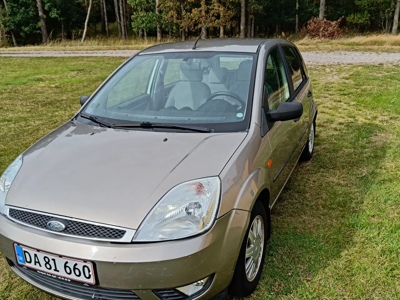 Billede 12 - Ford Fiesta fra 2002