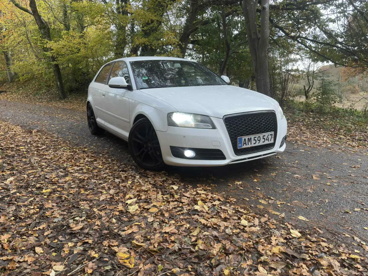 Billede 13 - Audi A3 8P Facelift ( Fuld Service bog )
