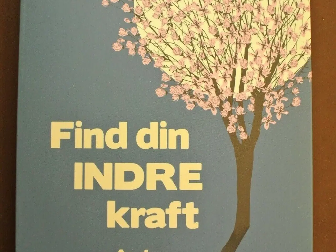 Billede 1 - find din indre kraft, af audun myskja, emne: perso