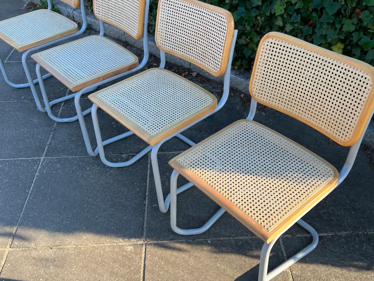 Billede 8 - Frisvinger med stable stel 