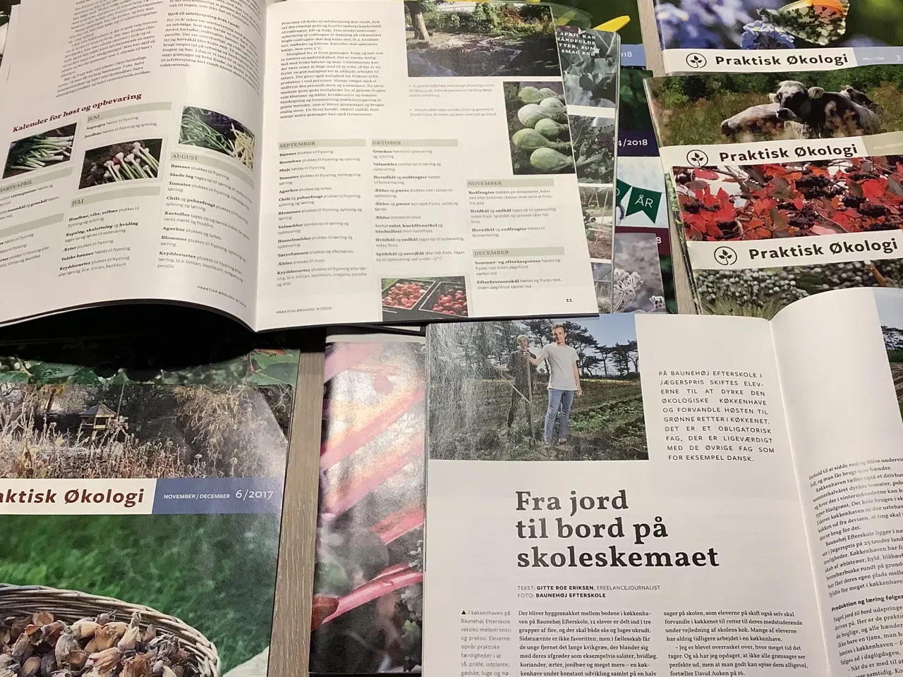 Billede 5 - Praktisk Økologi 