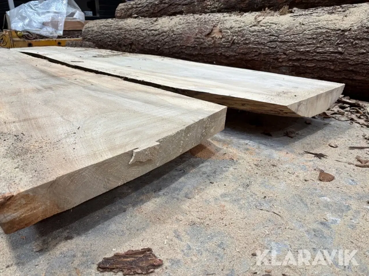 Billede 4 - Amerikansk tulipantræ 2 styk