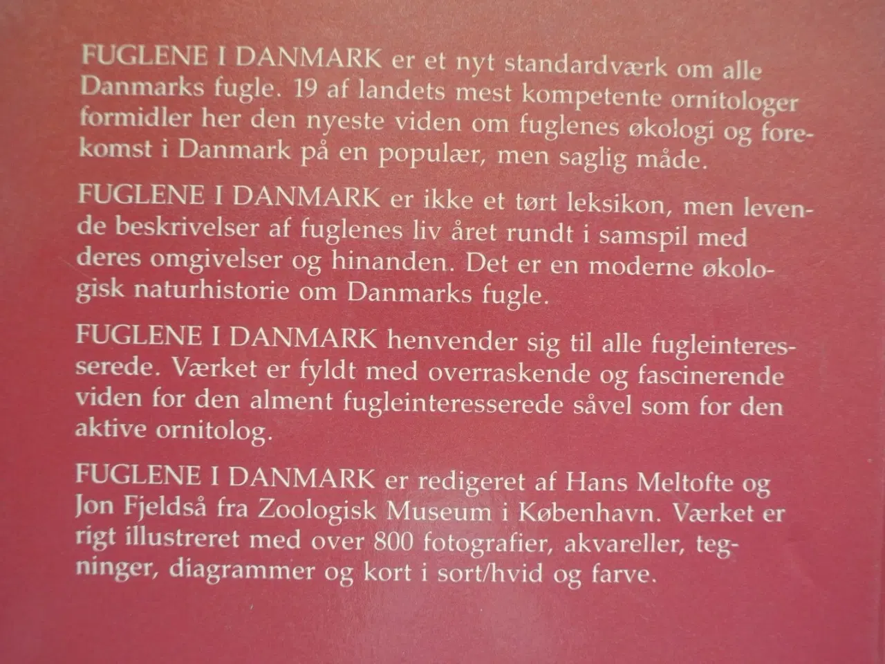 Billede 2 - fuglene i danmark 1-2, red. af hans meltofte og jo