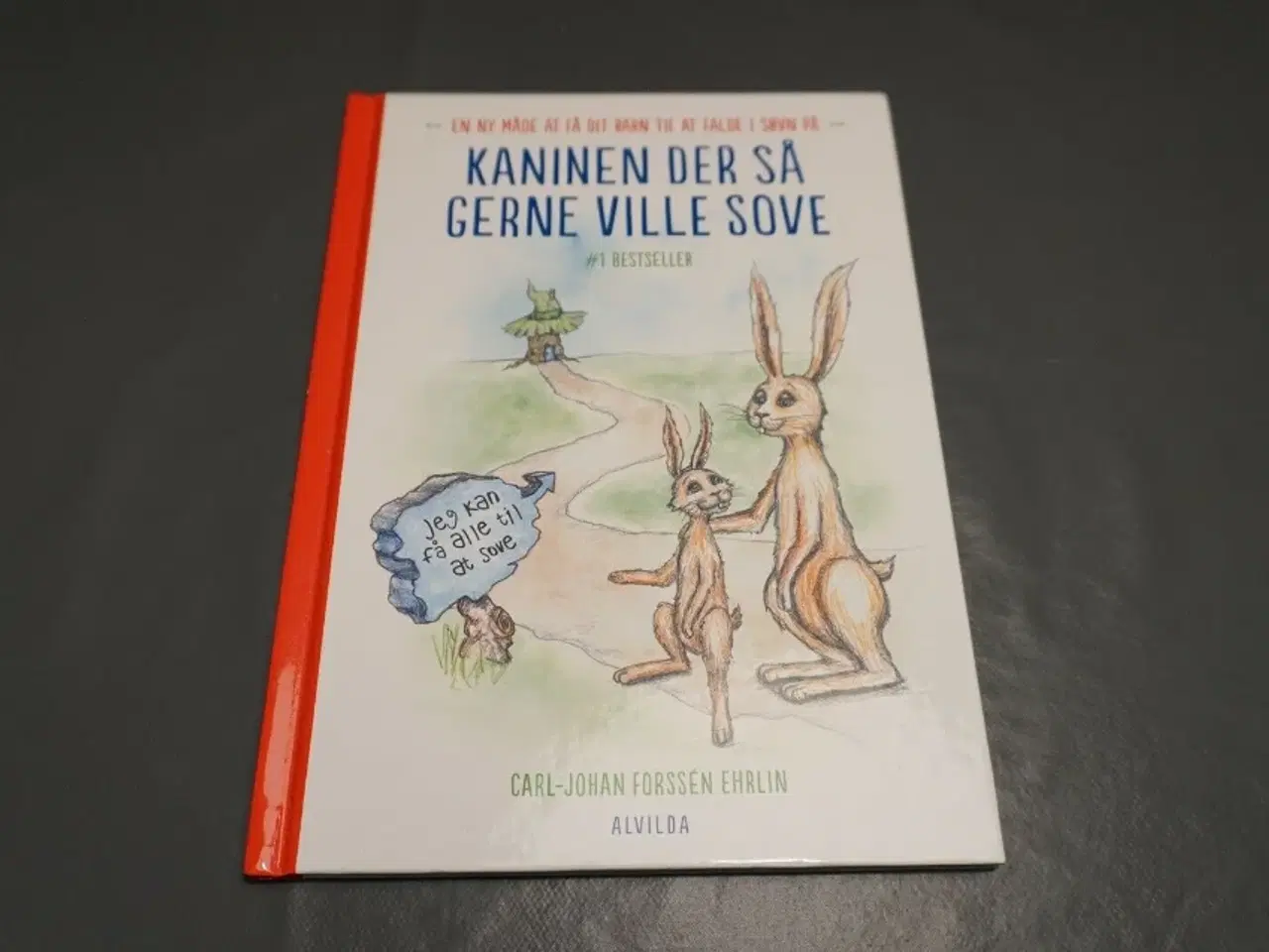 Billede 1 - Kaninen der så gerne ville sove