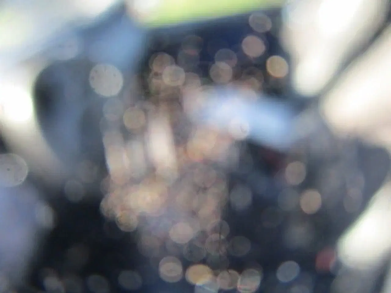 Billede 6 - Fiat Punto 1,2 16V Dynamic