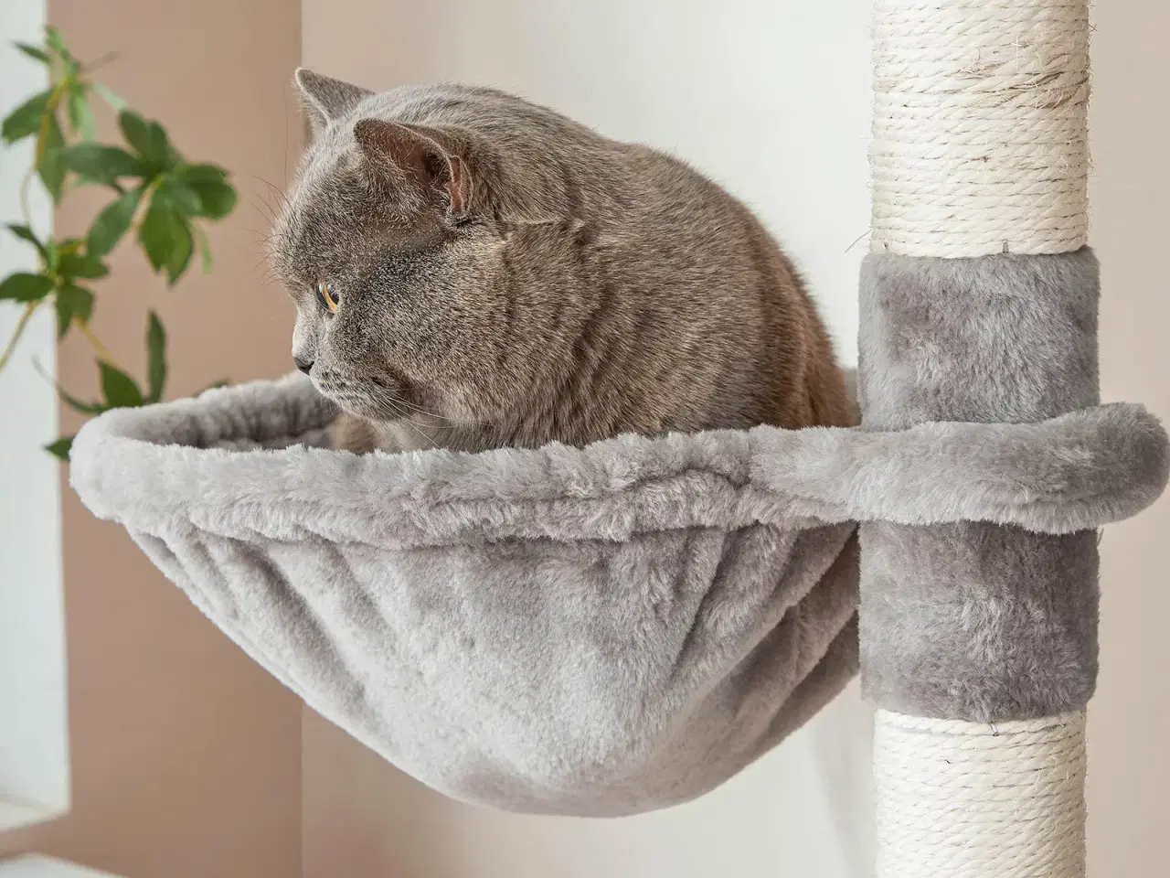 Billede 5 - Klatretræ til kat – FEANDREA, 206 cm høj med 13 kradsepæle, rampe, 2 udkigsplatforme og 2 huler, kurv, hængekøje og pomponer, lysegrå