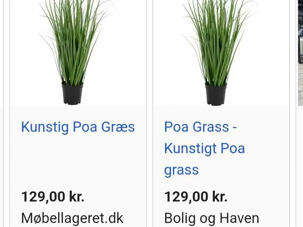 Billede 3 - 2 krukker Ib Laursen m/kunstige Poa græsser
