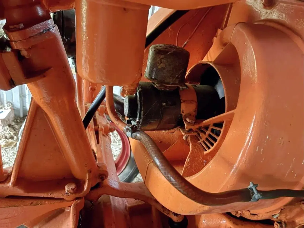 Billede 15 - Allgaier / Porsche A122 veterantraktor