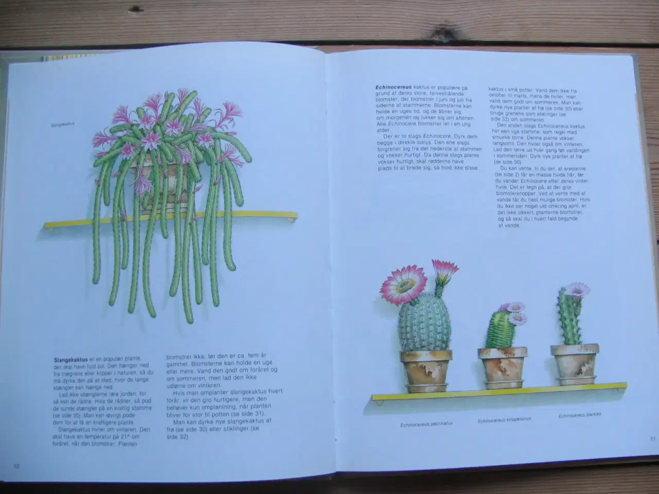 Billede 7 - Sue Tarsky, 3 bøger om planter og blomster