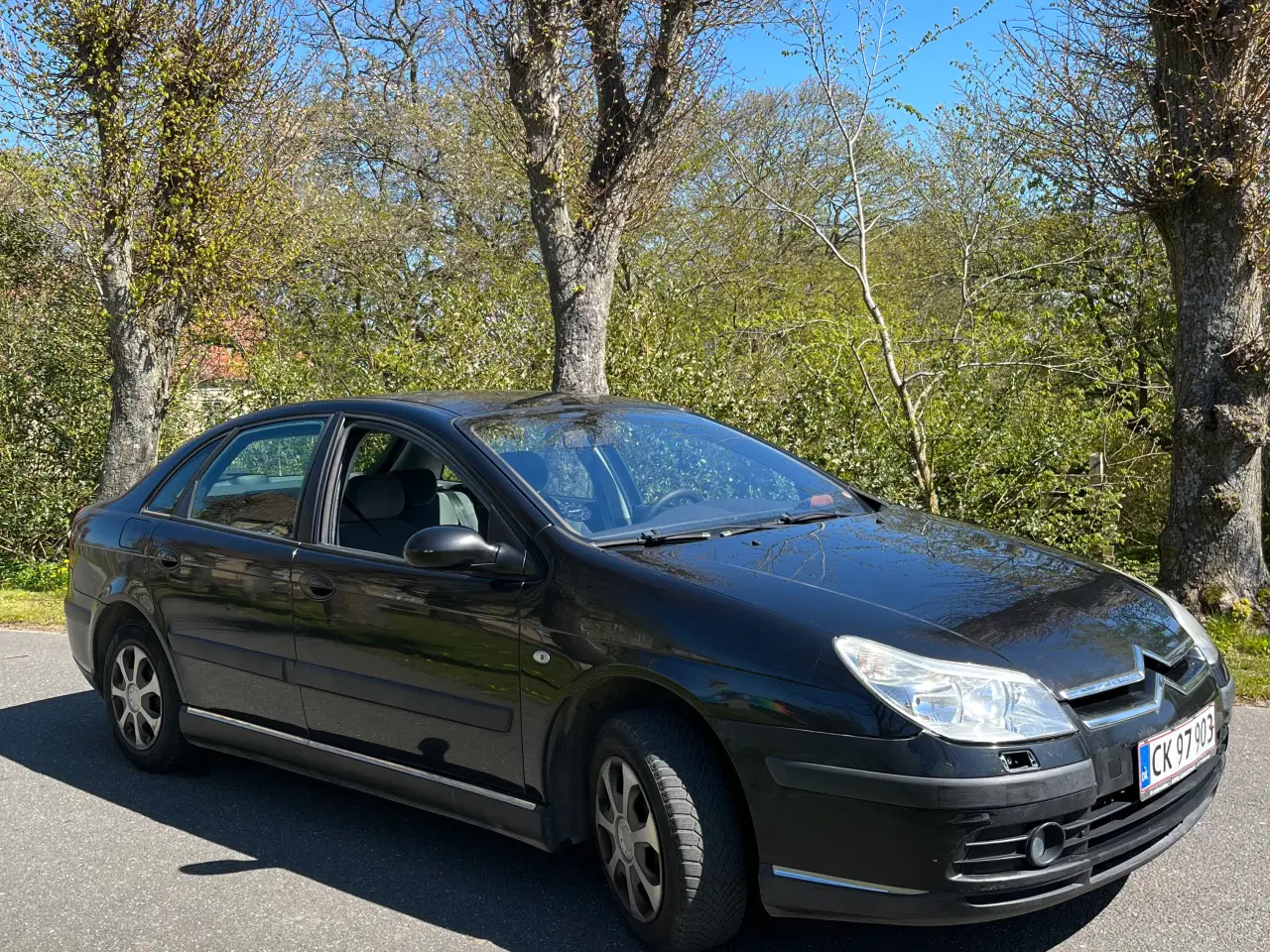 Billede 1 - Citroën C5