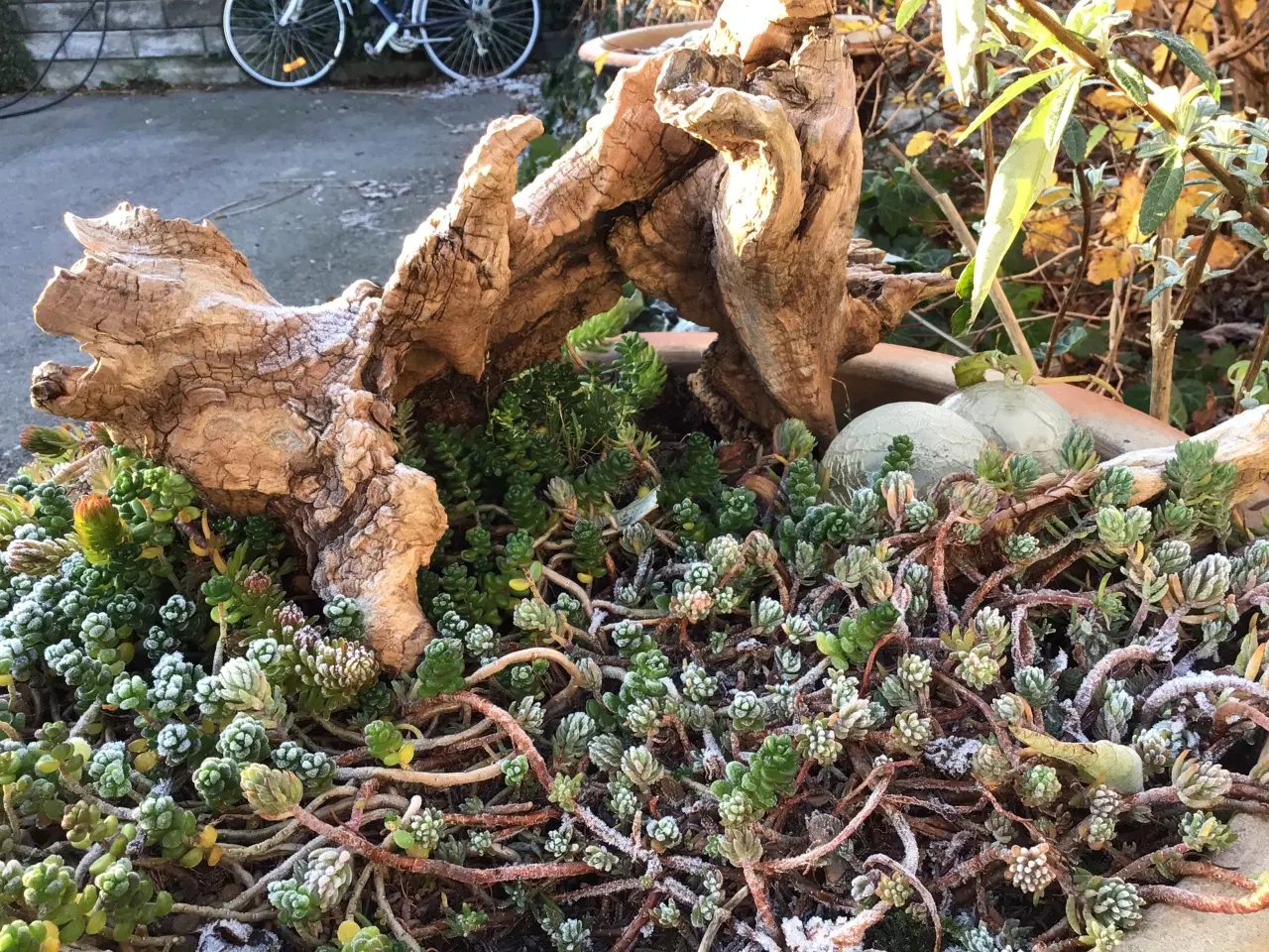 Billede 4 - Drivtømmer for den kreative