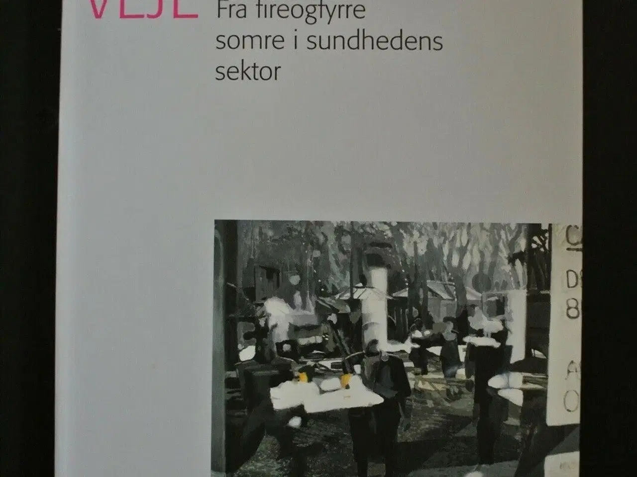 Billede 1 - vanviddets veje. fra fireogfyrre somre i sundheden