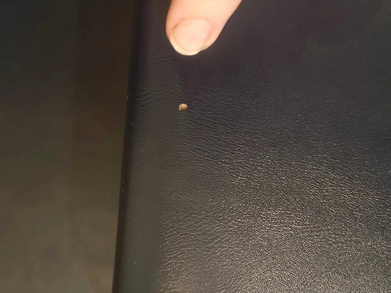 Billede 3 - Lege skum Noah XL