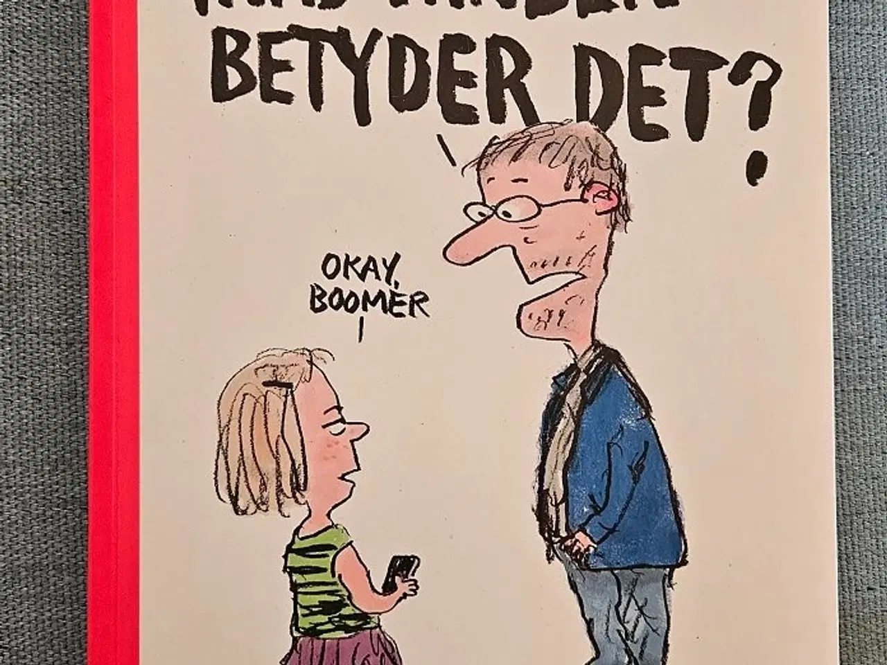 Billede 1 - bogen Hvad fanden betyder det