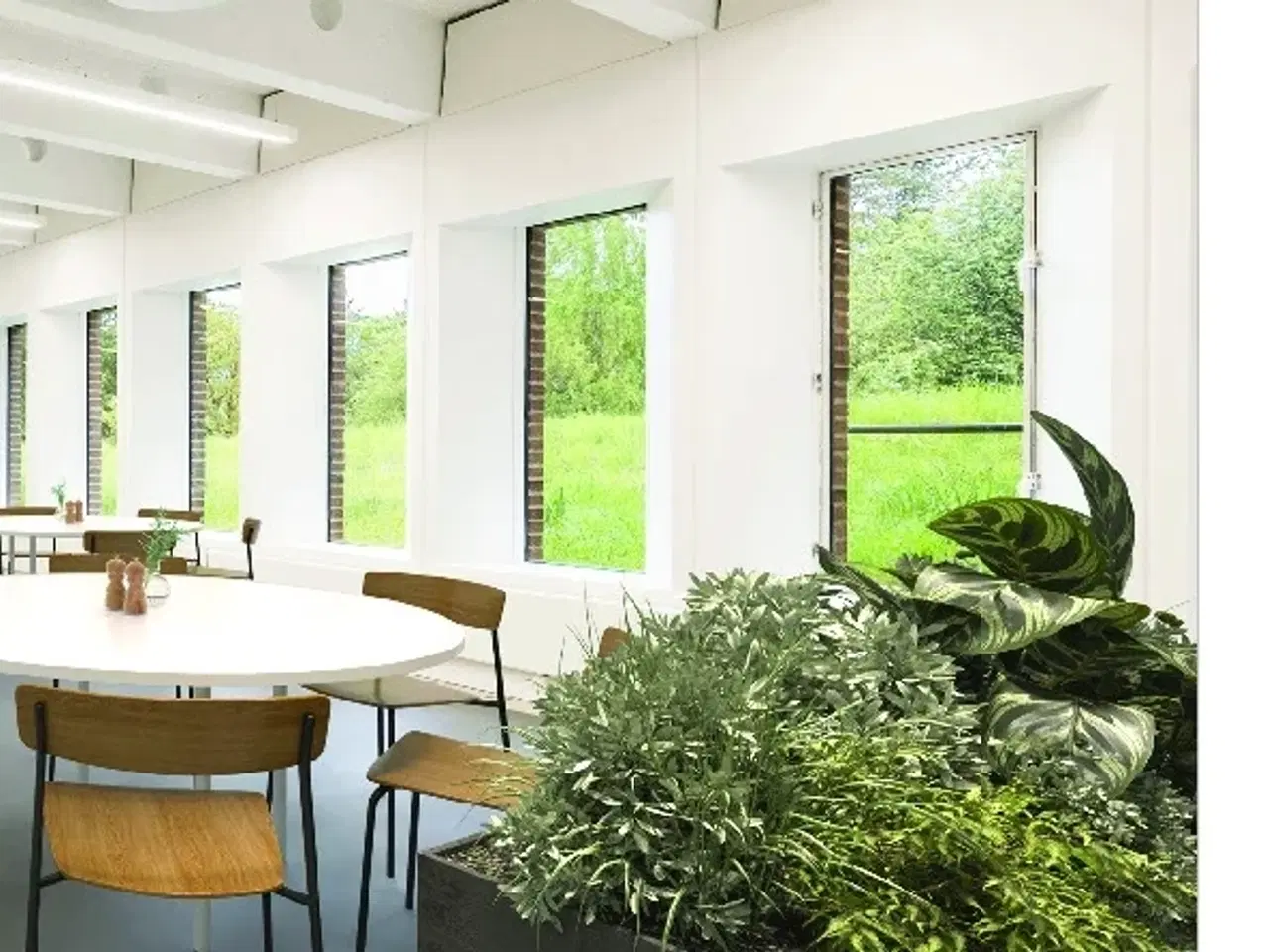 Billede 22 - Unik arkitektur placeret i skøn natur