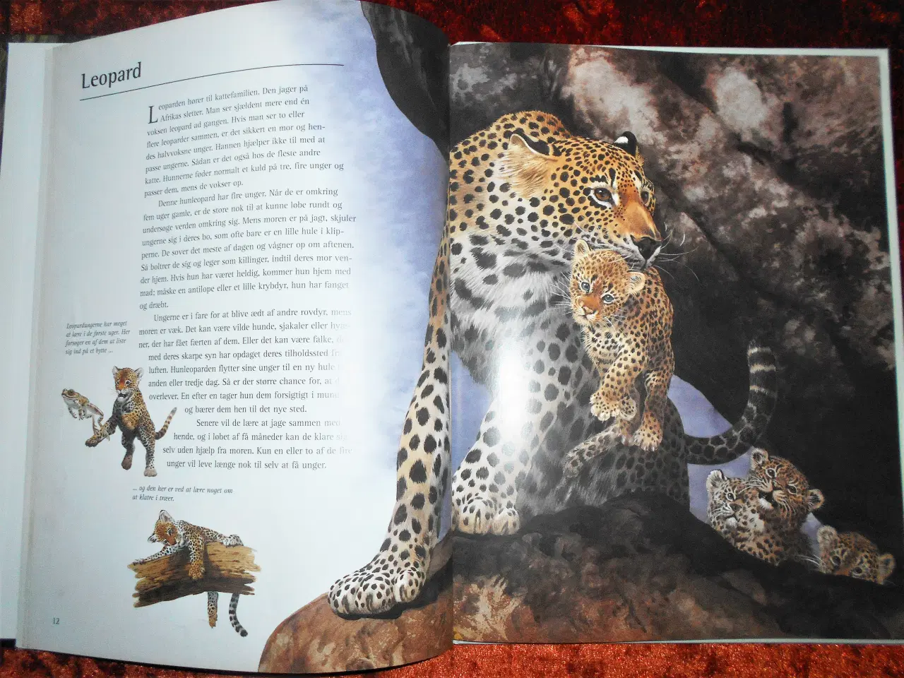 Billede 2 - En farlig barndom, Bernard Stonehouse,