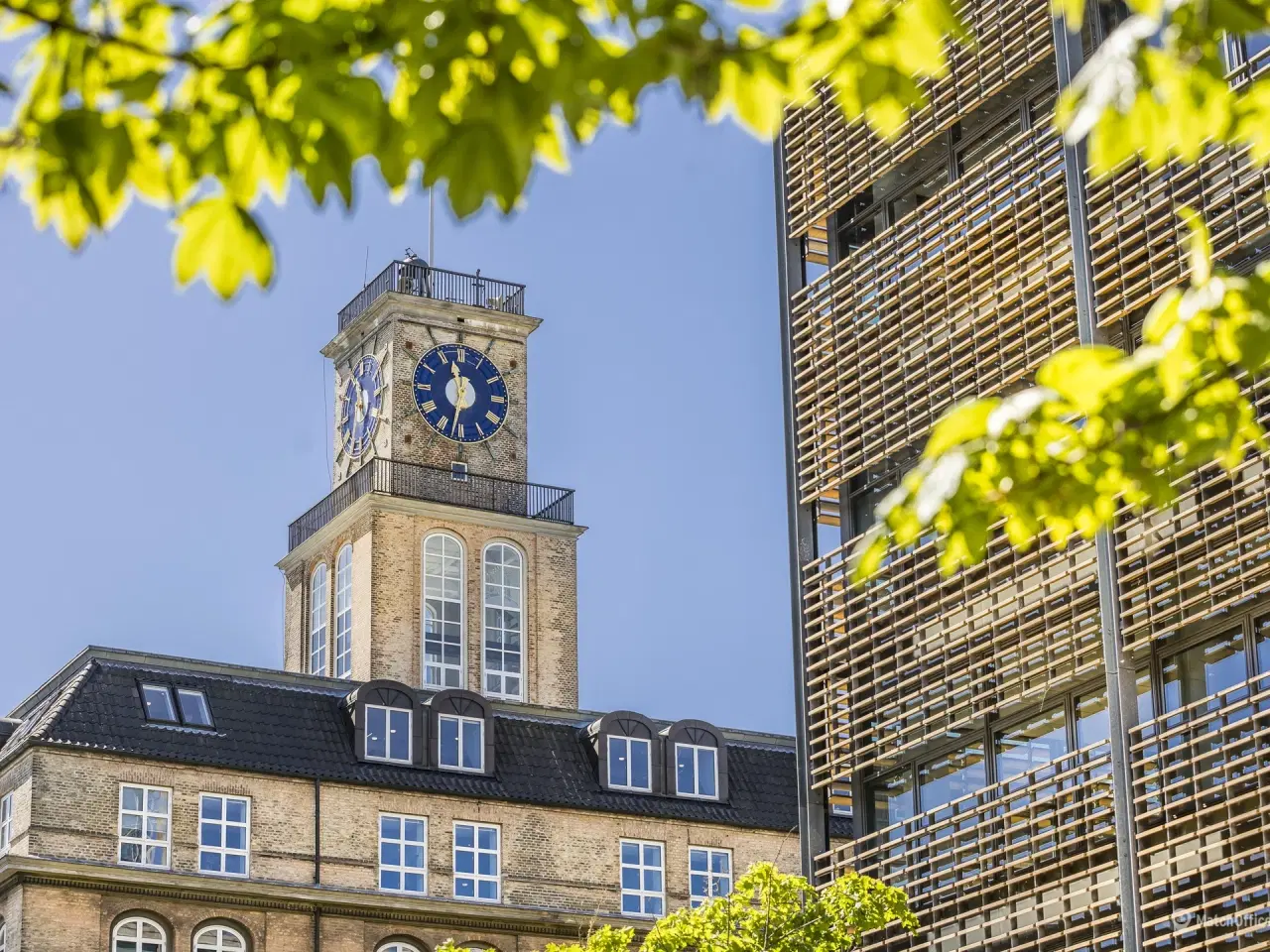 Billede 6 - Lyst og præsentabelt kontor med udsigt til Tuborg Havn