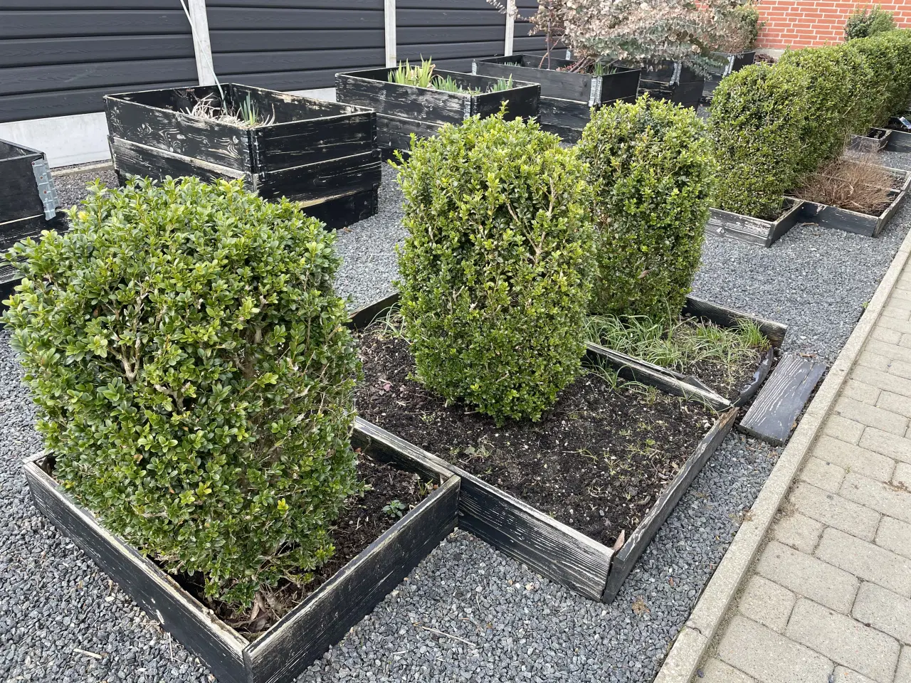 Billede 2 - GRATIS - KUN SAMLET - grav selv op