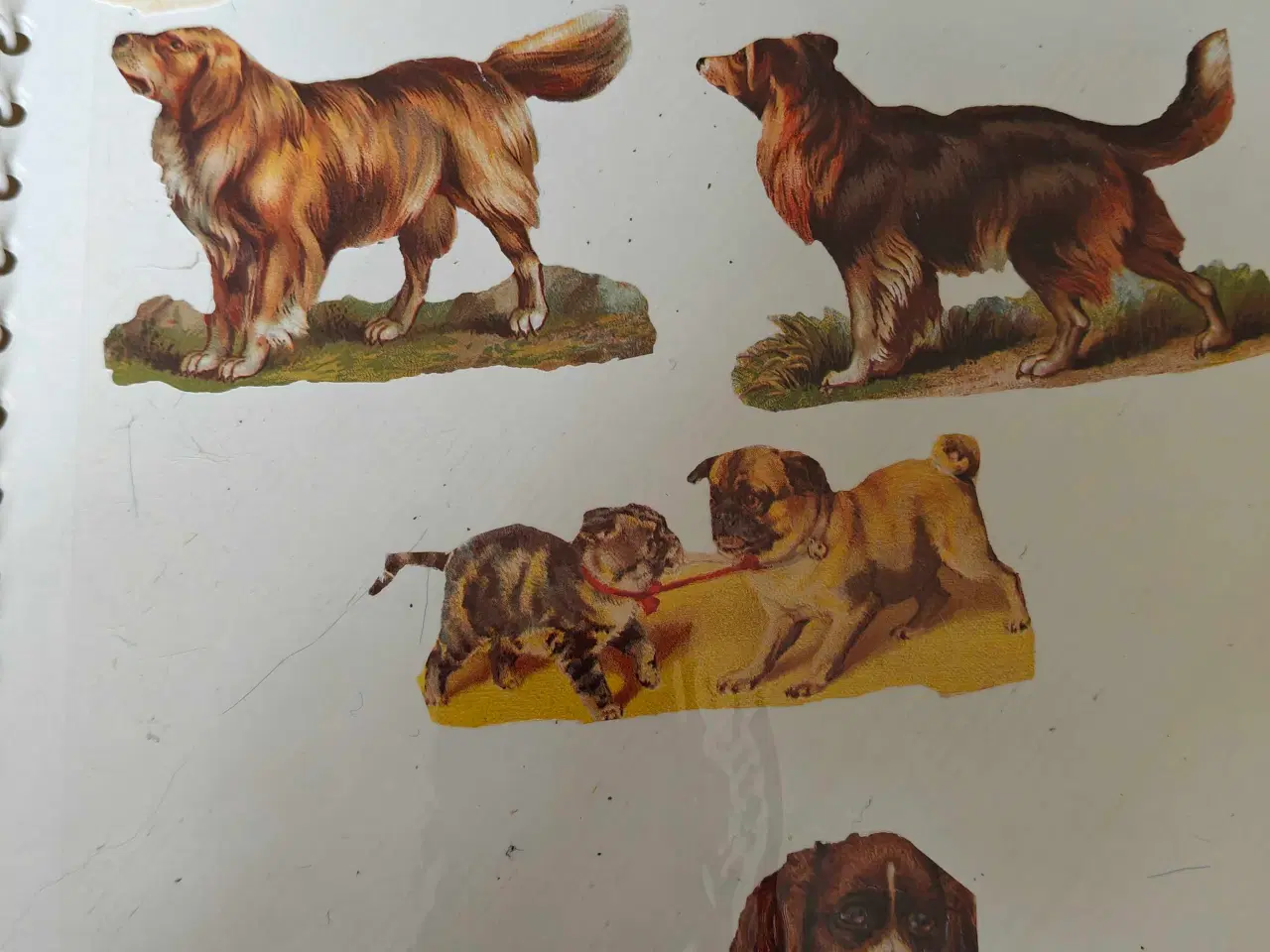 Billede 6 - Glansbilleder i mapper 