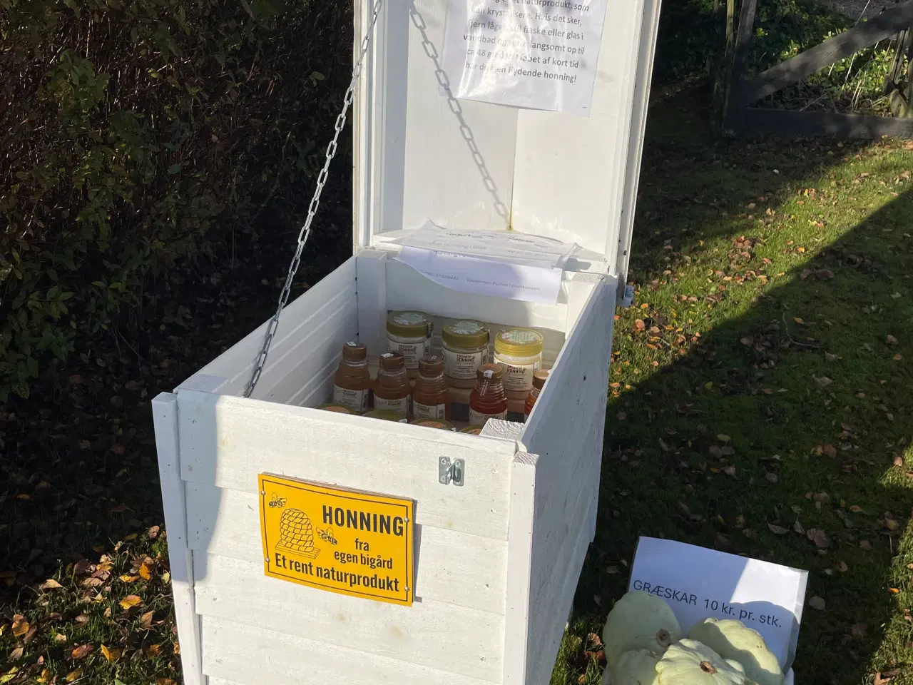 Billede 3 - Honning fra egen bigård, sælges