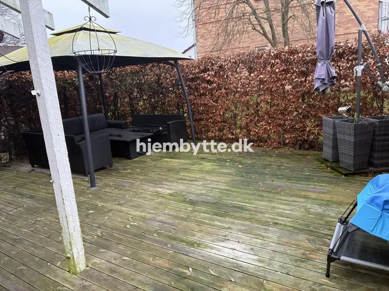 Billede 5 - Hjembytte - Nødebohave