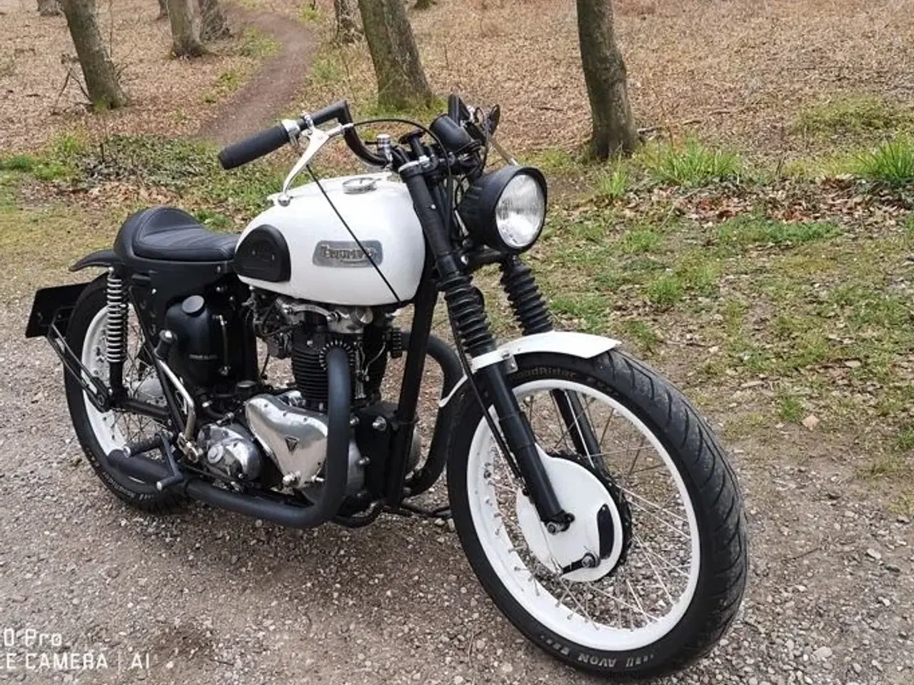 Billede 11 - Triumph