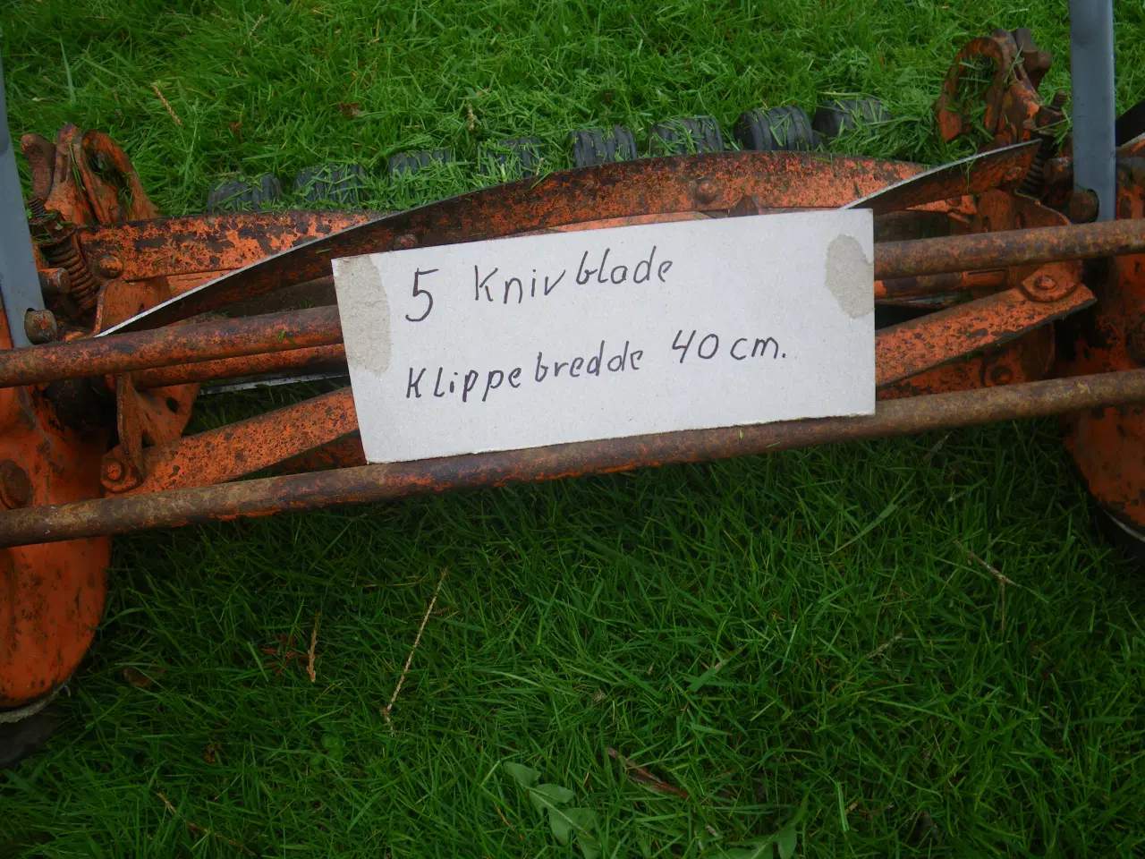 Billede 5 - Plæneklipper