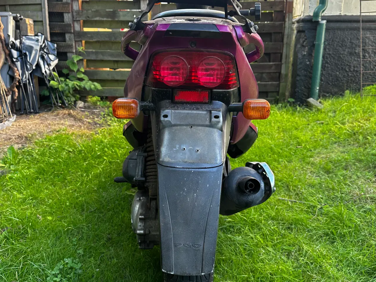 Billede 4 - Pgo t rex 
